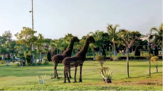 Jindal Park